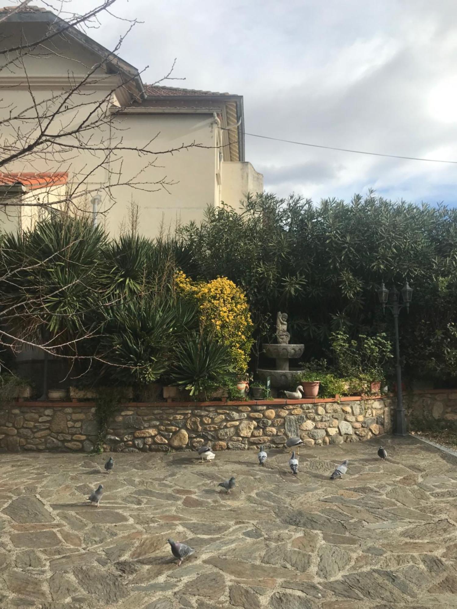 Hebergements A La Rive, Accueil Ouvert Tous Les Jours Jusqu'A 20H00 Dernier Delai, Depuis 30 Ans ! Reserver Ici Svp ! Merci ! Aucun Reglement A Distance Accepte, Paiement Par Cb, Especes, Cheque Ou Cheques-Vacances Imperativement A La Remise Des Clef Amélie-les-Bains-Palalda Εξωτερικό φωτογραφία